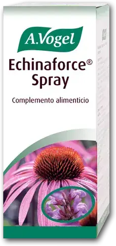 A. VOGEL Vogel Echinaforce Spray 30ml