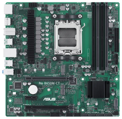 Asus PRO B650M-CT-CSM (grün)