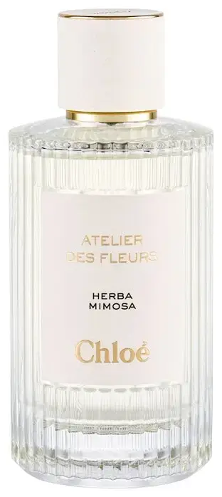 Chloé Atelier des Fleurs Herba Mimosa