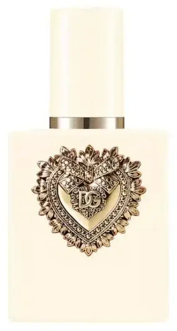 Dolce & Gabbana Dolce and Gabbana