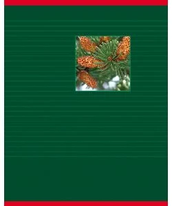 Klade līniju 48lp. "Elements of Nature" D