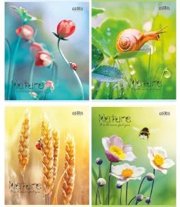 Notebook sguared 48sh. NATURE