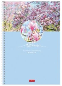 Notebook A4 squared 96sh. spiral bound "The beauty of bloom"