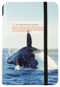 Notebook А6 ruled 160sh. hardcover, with elastic EARTH HOME