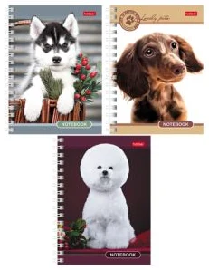 Notebook A6 squared 140sh. spiral bound "Favourit"