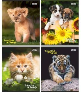 Klade rūtiņu 48lp. "Be kind to animals"