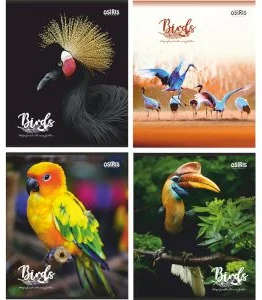 Klade līniju 48lp. BIRDS
