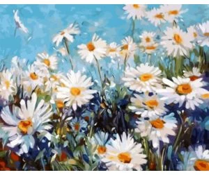 Akrila krāsas un kanvas attēlu gleznošana pēc numuriem "Daisies" 30x40cm