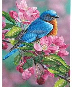 Akrila krāsas un kanvas attēlu gleznošana pēc numuriem "Bird of paradise" 40x50cm