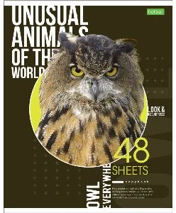 Klade rūtiņu 48lp. "Animals"