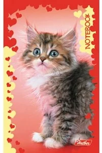 Notebook A7 square 48sh. 3col. glued pages "Cats"