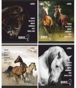 Notebook sguared 48sh. "Horse"