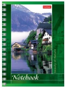Notebook A6 squared 80sh. spiral bound "Dog"