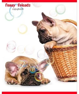 Notebook sguared 48sh. "Funny Friends" D