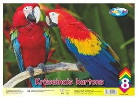 Krāsainais kartons A4 8lp. 190g.