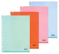 Clear folder L-type A4 0.18mm with perforation assorted
