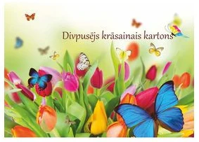 Divpusējs krāsainais kartons A4 8lp.