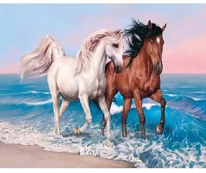 Acrylic paints & canvas pictures painting by number "Horses" 40x50cm OPP bag