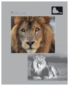 Klade rūtiņu 96lp. "Wild Cats" D