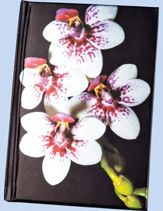 Notebook  A6 Centrum hardcover