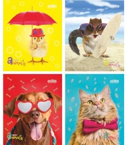Notebook sguared 48sh. "Funny Animals"