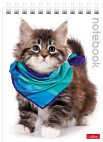 Notebook A6 squared 40sh. spiral bound "Cats"