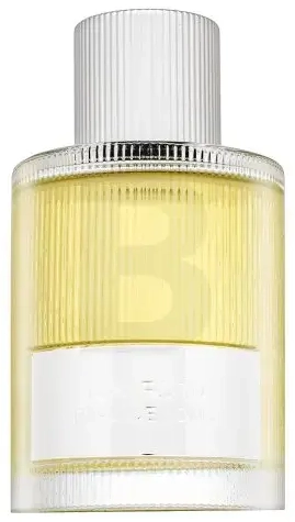 Tom Ford Signature Beau de Jour parfimērijas ūdens vīriešiem 100 ml