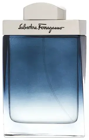 Salvatore Ferragamo Subtil Pour Homme Туалетная вода для мужчин 100 мл