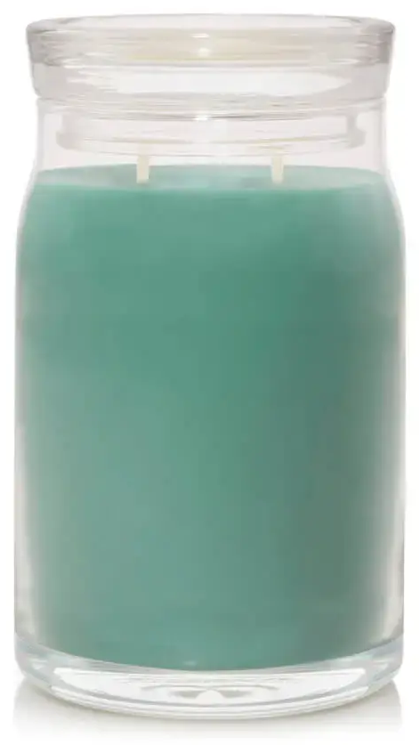 Debenhams Signature Large Jar Holiday Winterfest