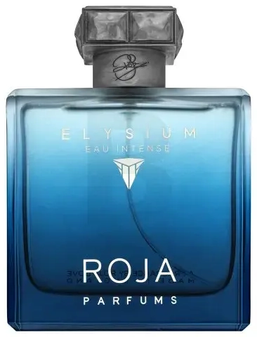Roja Parfums Elysium Elysium Eau Intense parfüümvesi meestele 100 ml