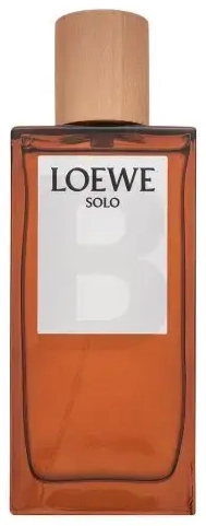 Loewe Solo Loewe Pour Homme Eau de Toilette for men 100 ml
