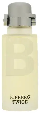 Iceberg Twice pour Homme tualettvesi meestele 125 ml
