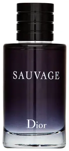 Dior (Christian Dior) Sauvage Eau de Toilette for men 100 ml