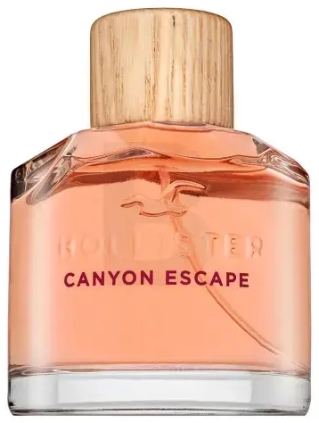 Hollister Canyon Escape (EDP) parfüümvesi naistele 100 ml