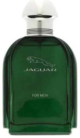 Jaguar Jaguar for Men Eau de Toilette for men 100 ml
