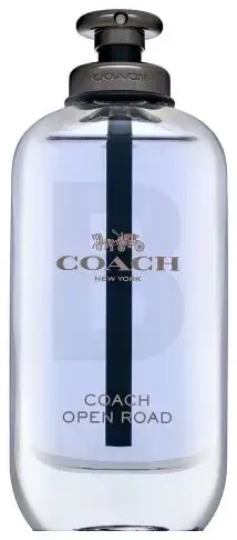 Coach Open Road Eau de Toilette for men 100 ml