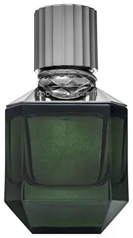 Roberto Cavalli Paradise Found Eau de Toilette for men 50 ml