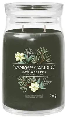 Yankee Candle Silver Sage & Pine signature candle 567 g