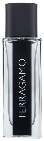 Salvatore Ferragamo Ferragamo Eau de Toilette for men 30 ml