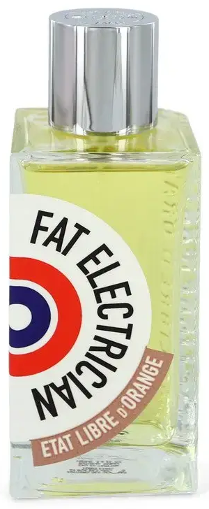 Etat Libre D'orange Fat Electrician by Etat Libre D' Orange EAU DE PARFUM SPRAY 3.4 OZ *TESTER for UNISEX