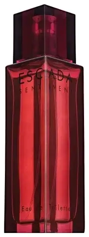 Escada Sentiment pour Homme Eau de Toilette for men 100 ml