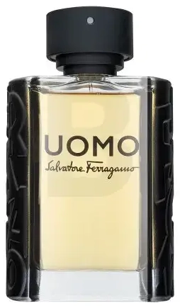 Salvatore Ferragamo Uomo Eau de Toilette for men 100 ml