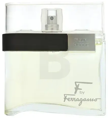 Salvatore Ferragamo F by Ferragamo Pour Homme Eau de Toilette for men 100 ml