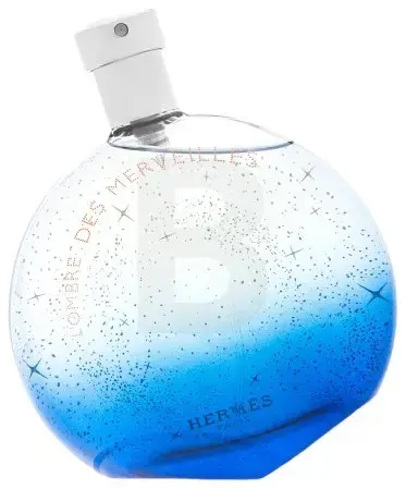 Hermès L'Ombre Des Merveilles (EDP) parfumuotas vanduo unisex 100 ml
