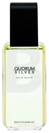 Antonio Puig Quorum Silver Туалетная вода для мужчин 100 мл