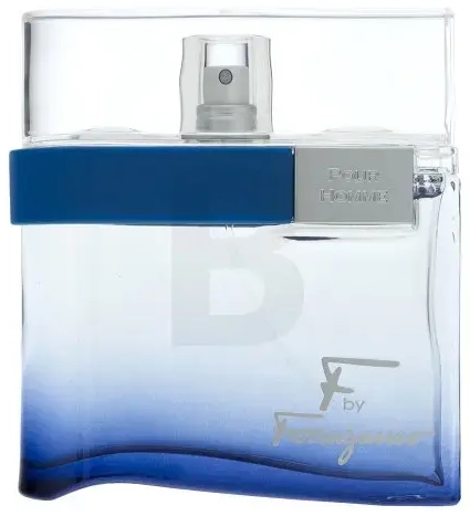 Salvatore Ferragamo F by Ferragamo Free Time Eau de Toilette for men 100 ml