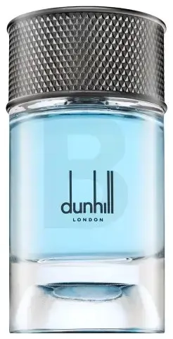 Dunhill Signature Collection Nordic Fougere eau de parfum for men 100 ml