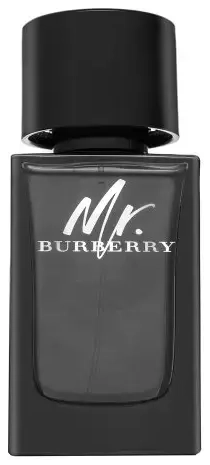 Burberry Mr. Burberry Eau de Parfum for men 100 ml