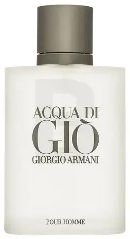 Armani (Giorgio Armani) Acqua di Gio Pour Homme Eau de Toilette for men 100 ml
