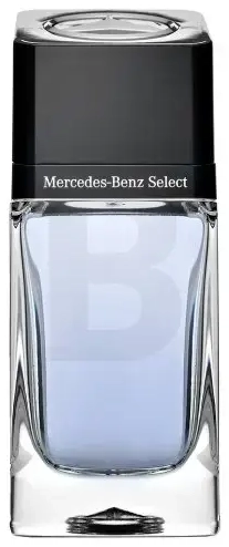 Mercedes-Benz Mercedes Benz Select Eau de Toilette for men 100 ml